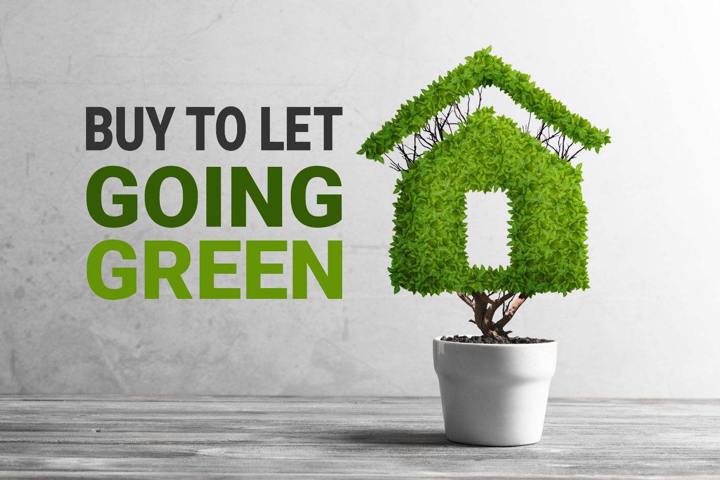 Buy to Let going Green